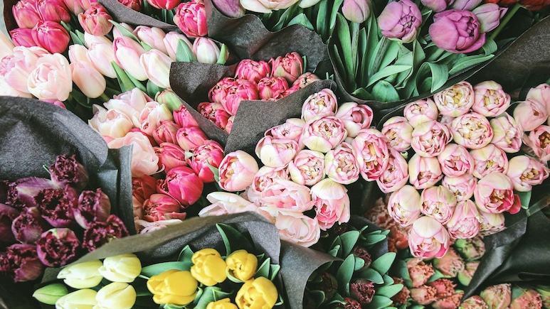 Valentine's Day Woes: Rising Exports Trigger Rose Shortage In Mumbai