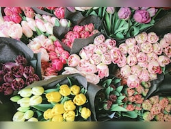 Kenya Flower Industry Loses $1.4 Million Weekly Due To US-Iran-Israel War