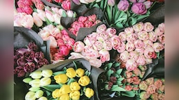 Kenya Flower Industry Loses $1.4 Million Weekly Due To US-Iran-Israel War