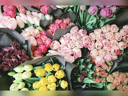 Kenya Flower Industry Loses $1.4 Million Weekly Due To US-Iran-Israel War