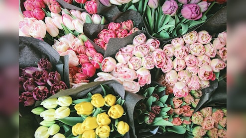 Kenya Flower Industry Loses $1.4 Million Weekly Due To US-Iran-Israel War