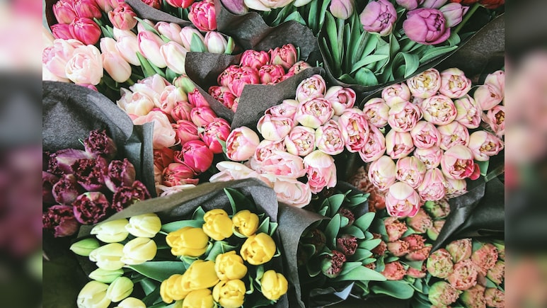 Kenya Flower Industry Loses $1.4 Million Weekly Due To US-Iran-Israel War