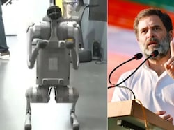 "Disorganised PR Spectacle": Rahul Gandhi On Galgotias' Chinese Robot Row