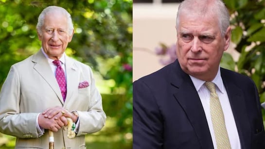 Law must take its course": King Charles responds to brother Andrew's arrest amid Epstein investigation
