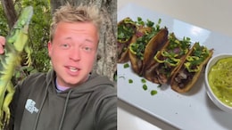 Will You Eat Lizard Tacos? Florida Man's Shocking Iguana Recipe Is A Viral Video