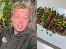 Will You Eat Lizard Tacos? Florida Man's Shocking Iguana Recipe Is A Viral Video