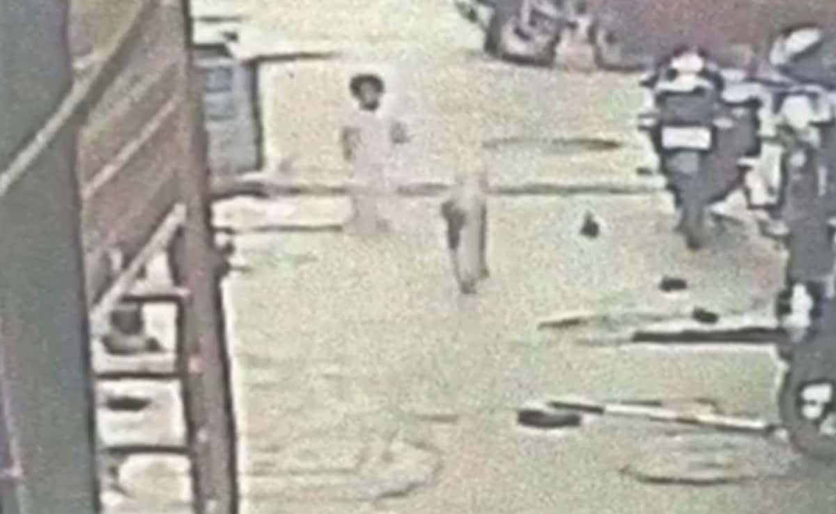 The Art of Baking: From Classic Bread to Artisan Pastries