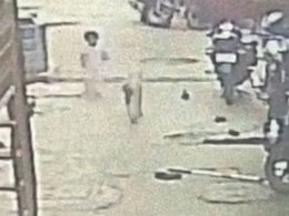 Cuts On Lips, Eye: 2-Year-Old Girl Mauled By Stray Dog In Maharashtra