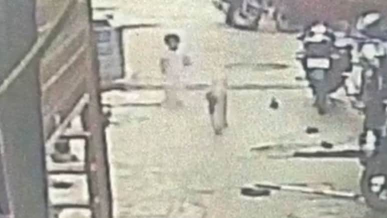 Cuts On Lips, Eye: 2-Year-Old Girl Mauled By Stray Dog In Maharashtra