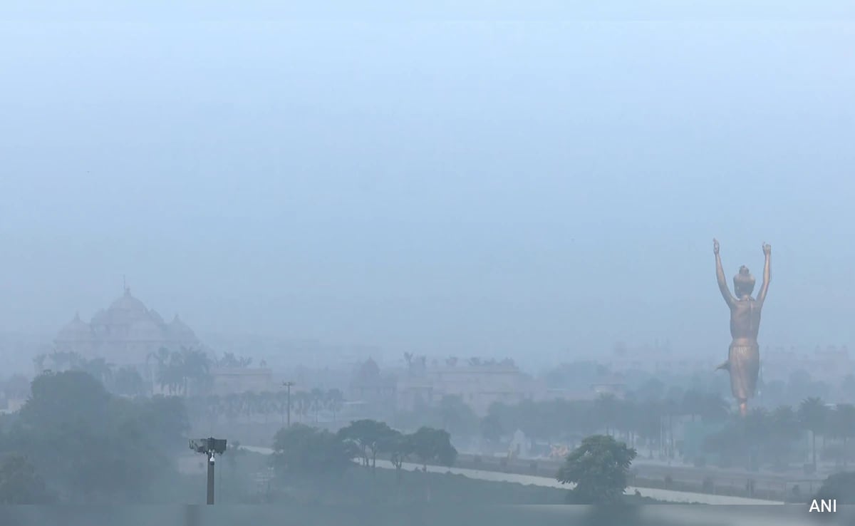Delhi-NCR Gets Light Rain, Weather Body Predicts Warmer February Delhi-NCR Gets Light Rain, Weather Body Predicts Warmer February