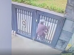 7 फुट के गेट को 24 सेकंड में टाप गई 92 साल की बुजुर्ग महिला, अल्जाइमर की थी शिकार