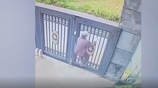 7 फुट के गेट को 24 सेकंड में ताप गई 92 साल की बुजुर्ग महिला, अल्जाइमर की थी शिकार