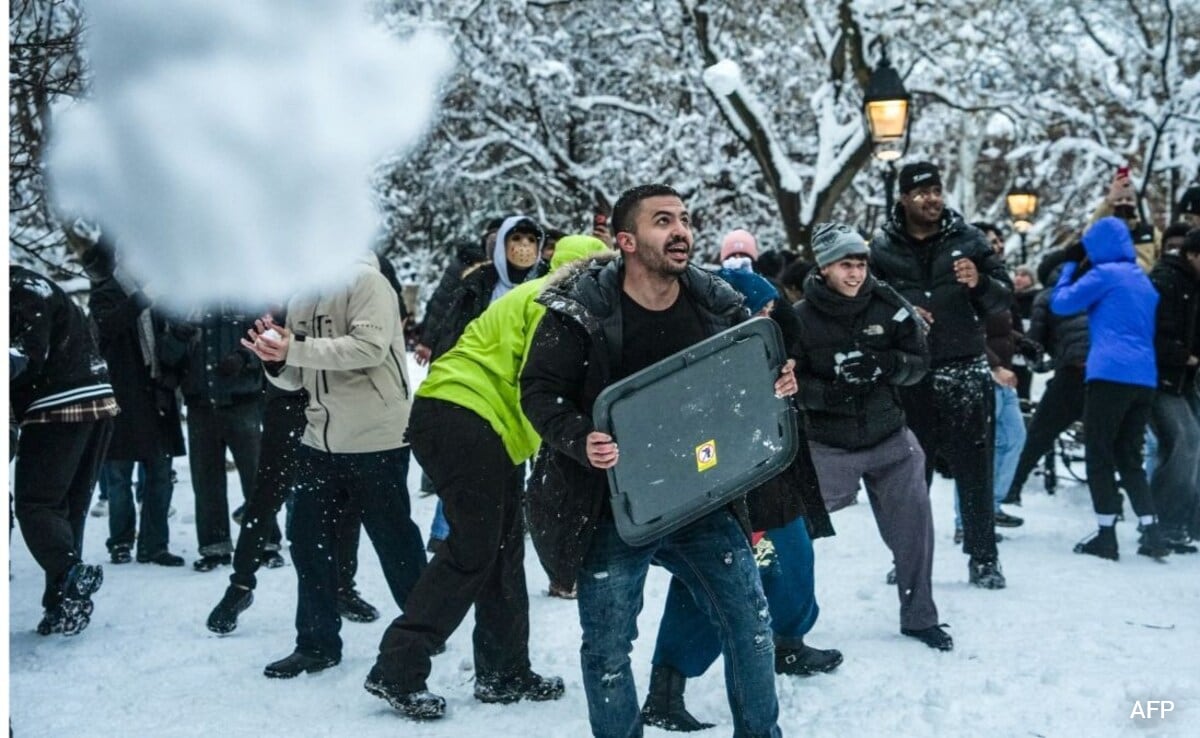 New York Police Arrest Man After Officers Were Pelted During Snowball Fight