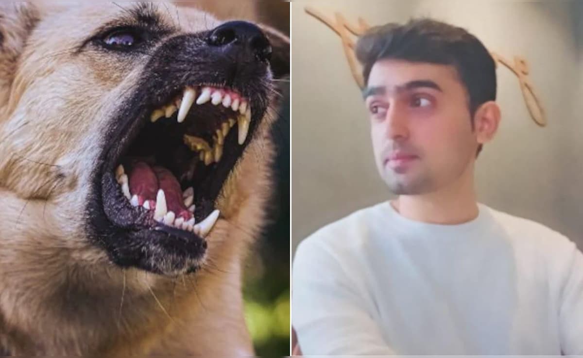 कुत्ते ने काटा तो रेबीज होने के डर से बैंककर्मी ने लगा ली फांसी