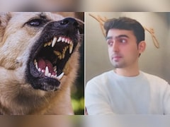 कुत्ते ने काटा तो रेबीज होने के डर से बैंककर्मी ने लगा ली फांसी