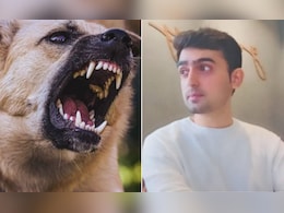 कुत्ते ने काटा तो रेबीज होने के डर से बैंककर्मी ने लगा ली फांसी