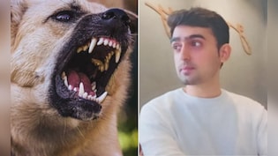 कुत्ते ने काटा तो रेबीज होने के डर से बैंककर्मी ने लगा ली फांसी