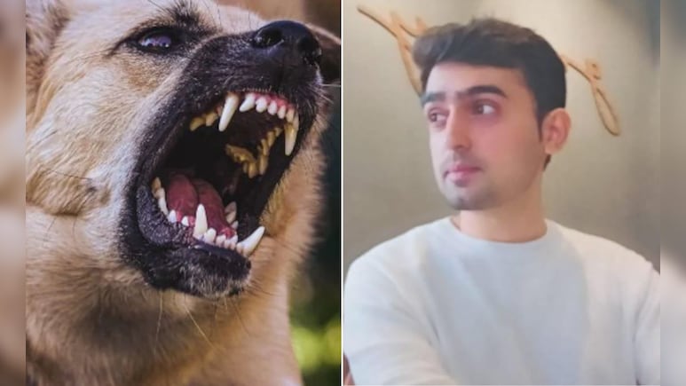 कुत्ते ने काटा तो रेबीज होने के डर से बैंककर्मी ने लगा ली फांसी
