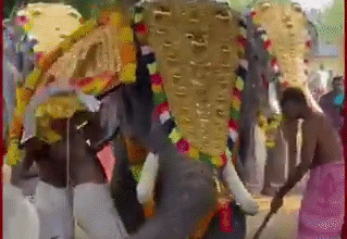 केरल के त्रिशूर में बेकाबू हाथी का तांडव, सूंड में फंसाकर युवक को पटक दिया, वीडियो देख कांप जाएंगे