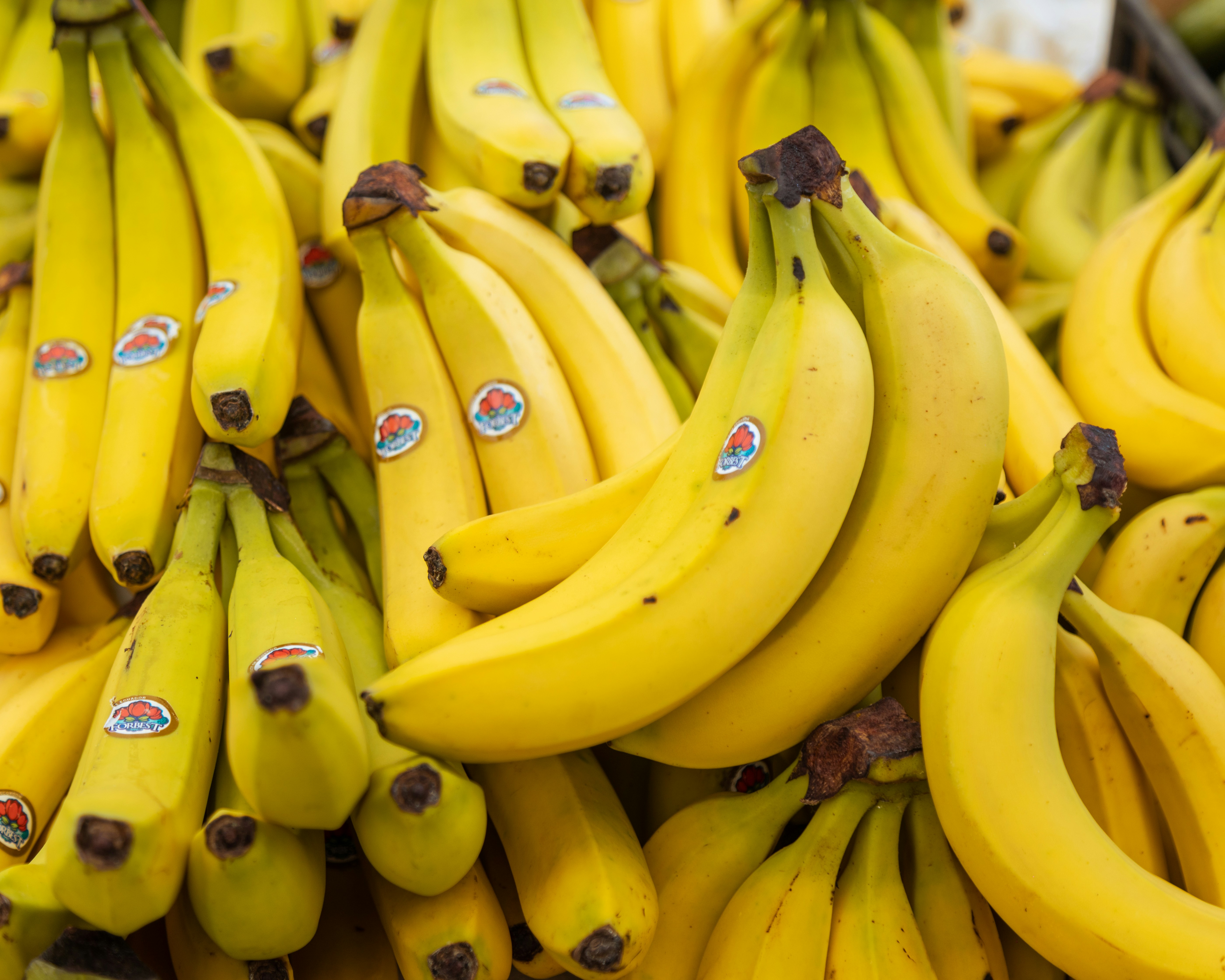 Which Indian City Is Known As The Banana Capital Of India?