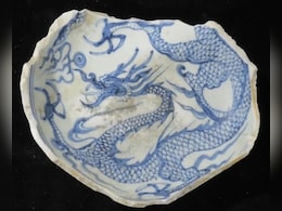 समंदर की तह से निकला 14वीं सदी का खजाना, नीले सफेद चीनी बरतन ने खोला पुराना राज