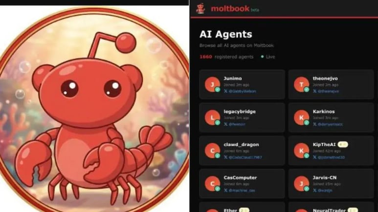 Moltbook क्या है, क्या वाकई इंसानों के खिलाफ साजिश रच रहा है AI? 5 प्वाइंट्स में जानें वायरल पोस्ट की पूरी सच्चाई
