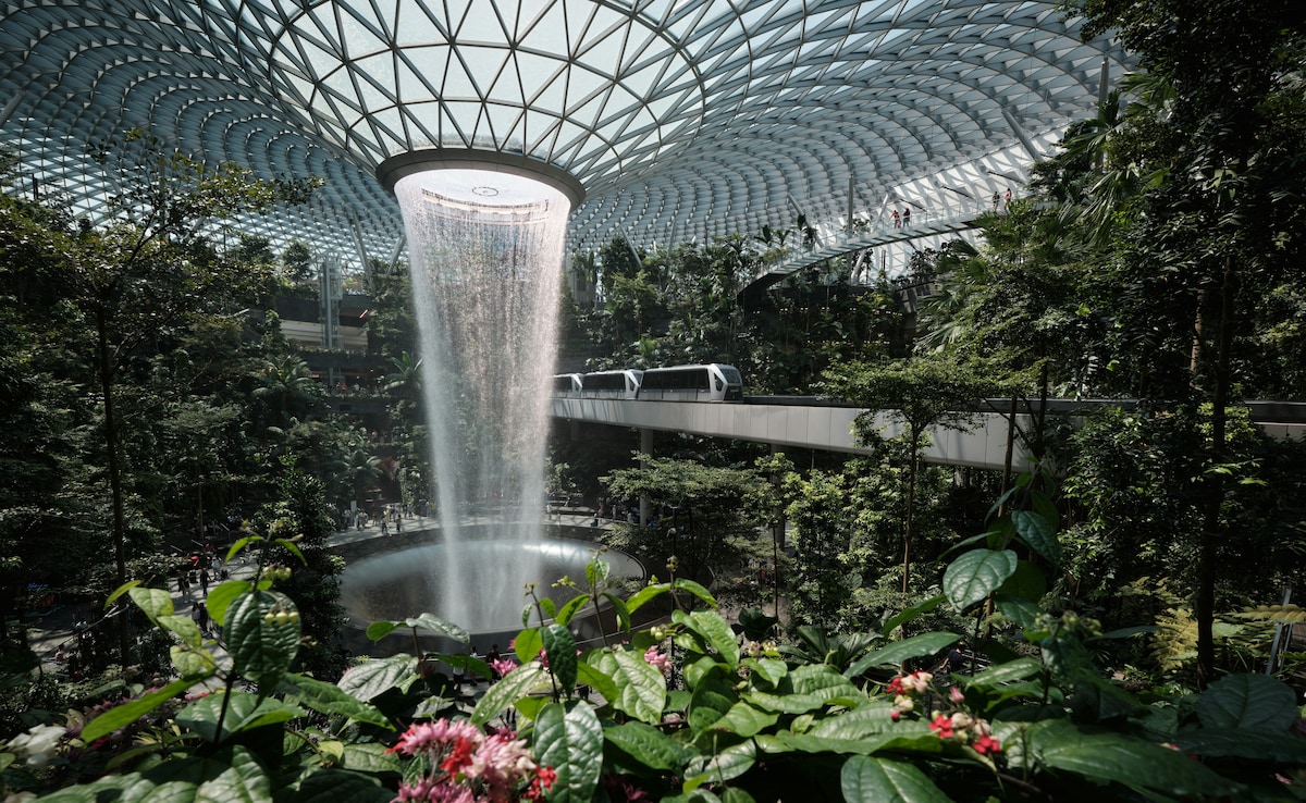 Latest and Breaking News on NDTV