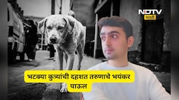 Kalyan news: तरुणाला भटका कुत्रा चावला, भीतीने त्याने भयंकर प्रकार केला, सगळेच हादरले