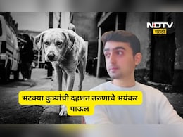 Kalyan news: तरुणाला भटका कुत्रा चावला, भीतीने त्याने भयंकर प्रकार केला, सगळेच हादरले