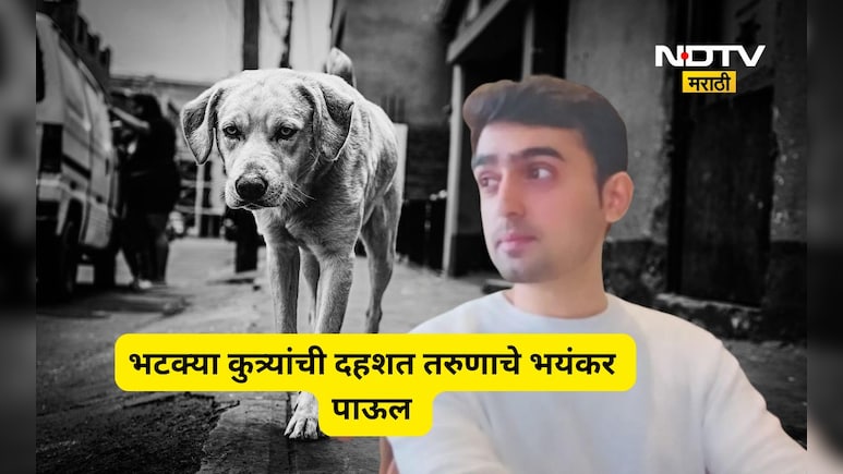 Kalyan news: तरुणाला भटका कुत्रा चावला, भीतीने त्याने भयंकर प्रकार केला, सगळेच हादरले