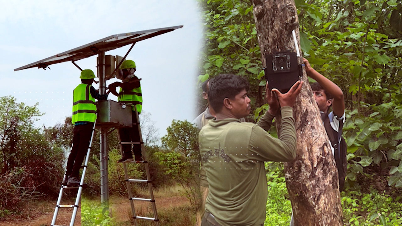 Indian AI System Protects Villages And Wildlife With Real-Time Alerts