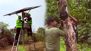 Indian AI System Protects Villages And Wildlife With Real-Time Alerts