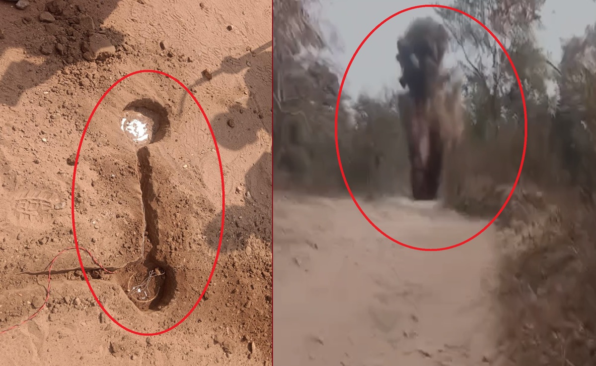 IED Defused: बीजापुर में सुरक्षाबलों की कार्रवाई; ईलमिड़ी-मुजालकांकेर मार्ग पर IED व विस्फोटक सामग्री बरामद