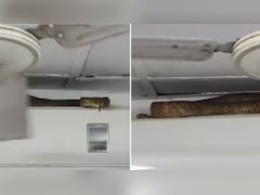 बाप रे बाप! AC के ऊपर आराम करता दिखा 7 फुट लंबा सांप, मुंबई का वायरल वीडियो देख उड़ गए लोगों के होश