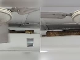 बाप रे बाप! AC के ऊपर आराम करता दिखा 7 फुट लंबा सांप, मुंबई का वायरल वीडियो देख उड़ गए लोगों के होश