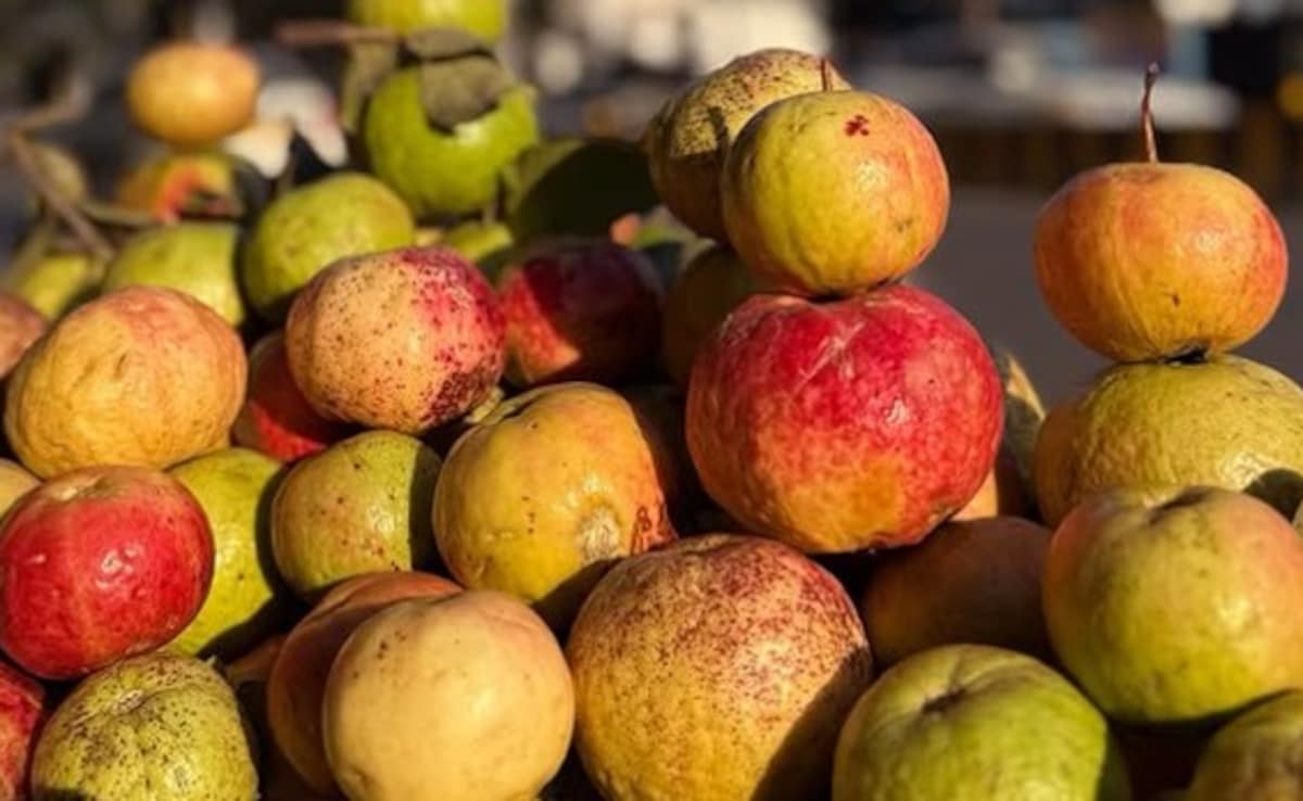 Prayagraj Famous Fruit: स्वाद सेहत का राजा है ये वाला अमरूद, एक बार खा लिए, तो बार-बार मांगोगे