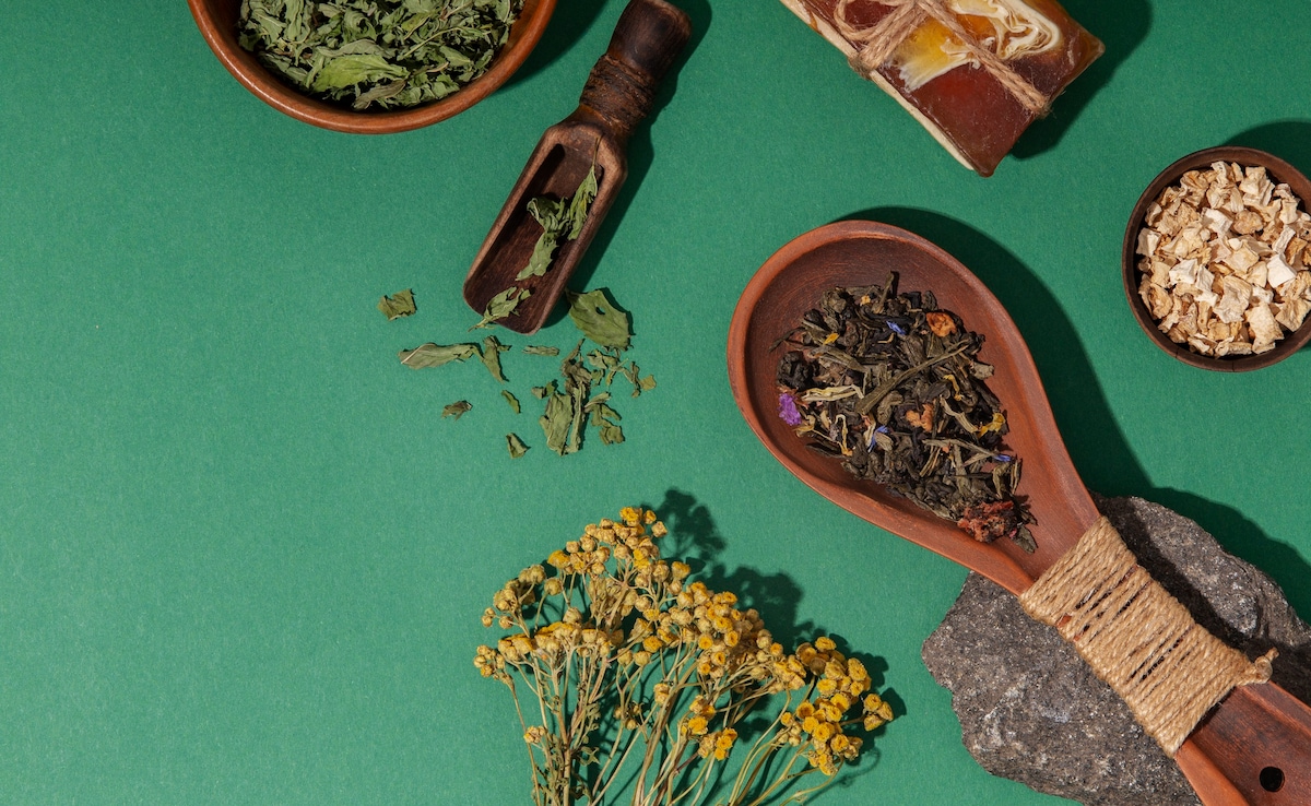 India Can Lead Global Market In Medicinal Plants, Says Ayush Minister