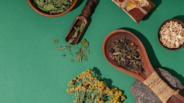 India Can Lead Global Market In Medicinal Plants, Says Ayush Minister