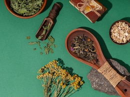 India Can Lead Global Market In Medicinal Plants, Says Ayush Minister