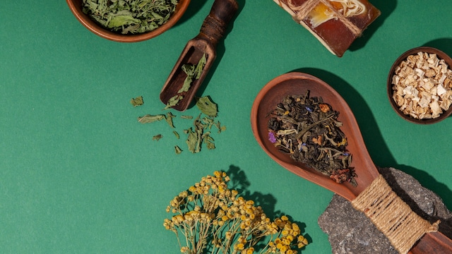 India Can Lead Global Market In Medicinal Plants, Says Ayush Minister