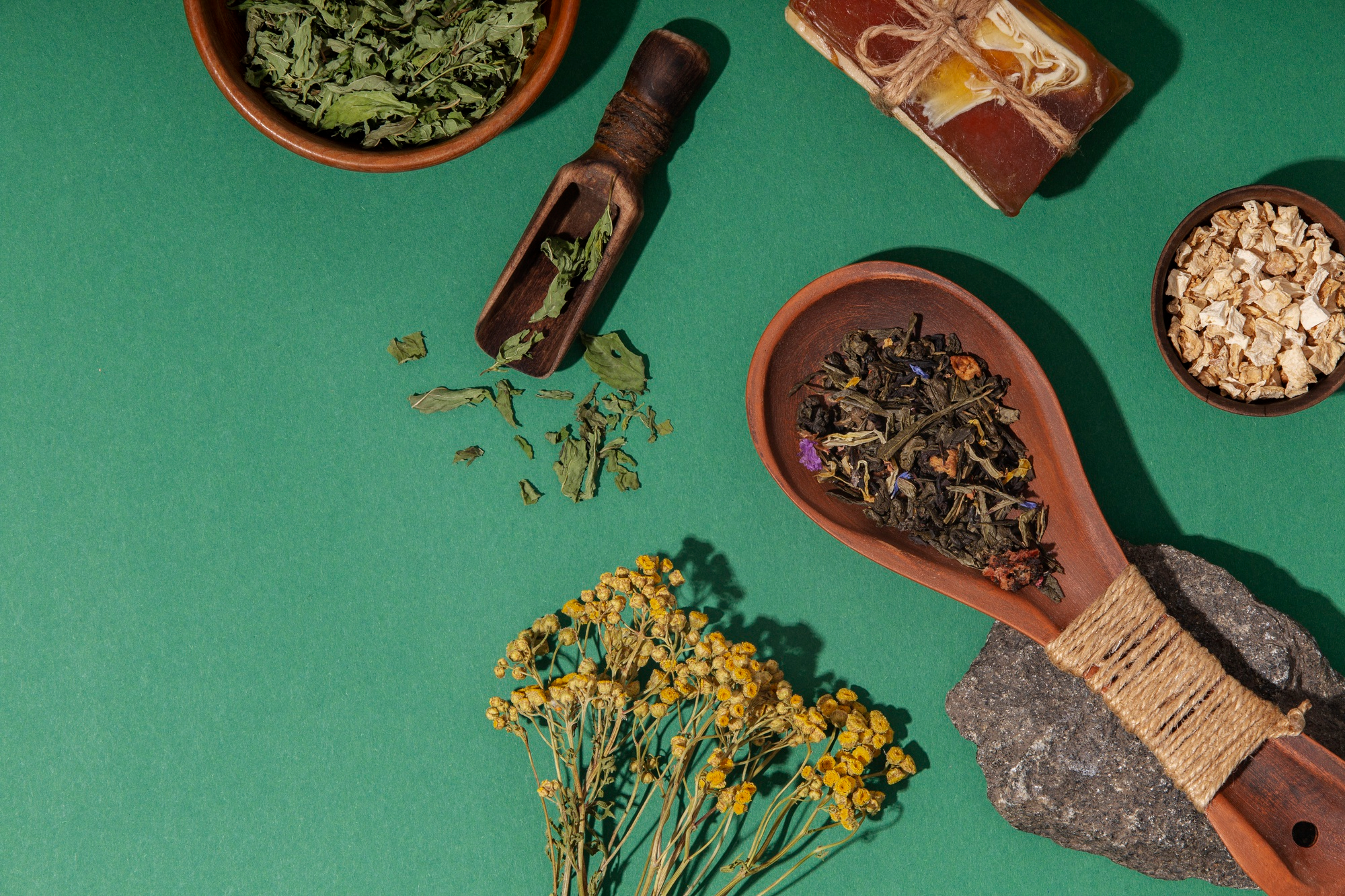 India Can Lead Global Market In Medicinal Plants, Says Ayush Minister