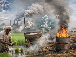 जहरीली हो रही है खेती: ग्रीनहाउस गैस छोड़ने में भारत दुनिया के टॉप 6 देशों में शामिल, नई स्टडी ने दी चेतावनी