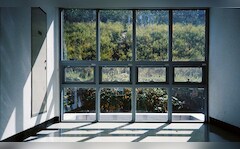 Why Dutch Homes Have No Curtains