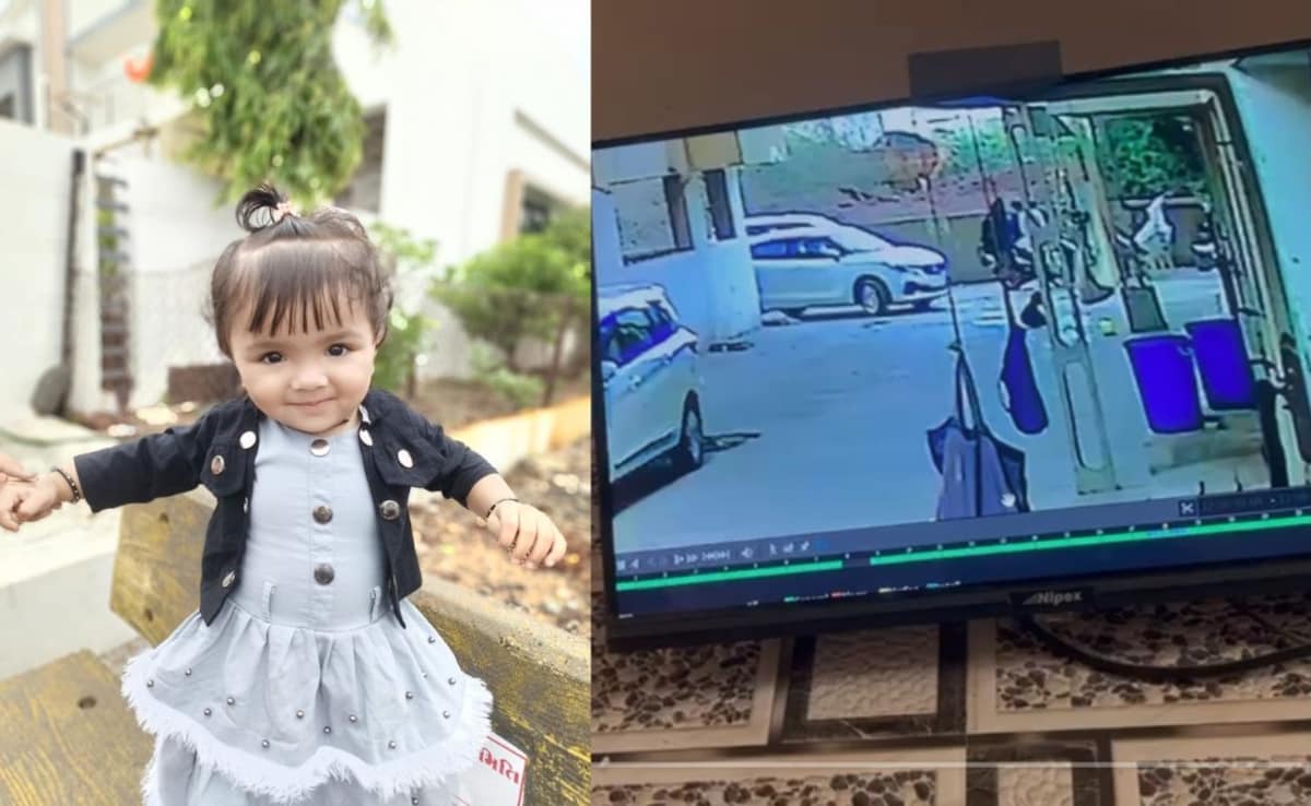 The Art of Baking: From Classic Bread to Artisan Pastries