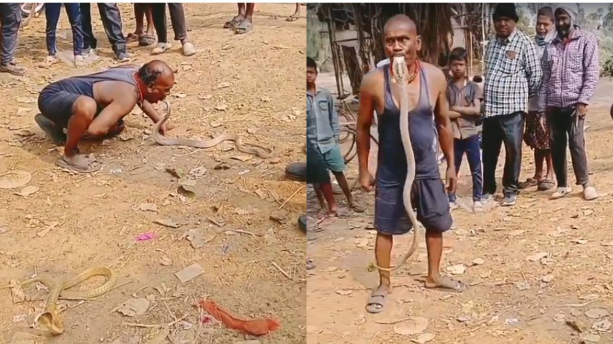Move Over Regular Snake Catchers, This Odisha Man Uses Mouth, Not Hands