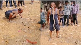 Move Over Regular Snake Catchers, This Odisha Man Uses Mouth, Not Hands