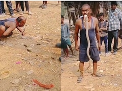 Move Over Regular Snake Catchers, This Odisha Man Uses Mouth, Not Hands