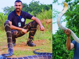 Ahilyanagar News : पुण्यात गांजाची मोठी खेप पोहोचविण्याची तयारी, सापांच्या बहाण्याने गांजाची तस्करी, आकाश कसा अडकला?