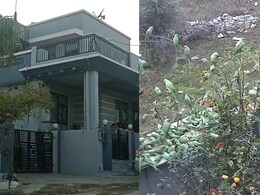 पति-पत्नी ने तोतों के लिए खरीदा प्लॉट, यहां है 10 हजार पक्षियों का बसेरा; इलाके के लोग भी कर रहे हैं मदद