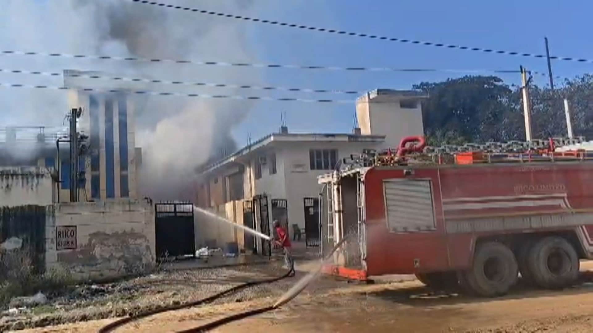 The Art of Baking: From Classic Bread to Artisan Pastries
